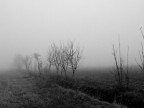 nebbia nebbia