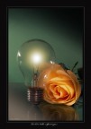 la luce della speranza