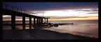 the story of the warf the story of the warf