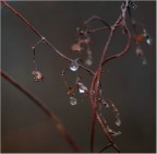 filamenti con gocce filamenti con gocce