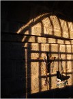 Alla ricerca della fede Alla ricerca della fede