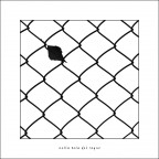 nella tela del ragno nella tela del ragno