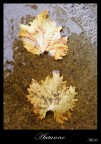 Autunno Autunno