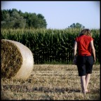 ricordi di una estate andata via ricordi di una estate andata via