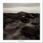 La Nurra #2 La Nurra #2