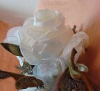 rosa di carta rosa di carta