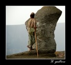 il pastore il pastore