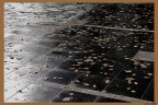 L'autunno è a terra L'autunno è a terra
