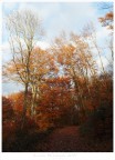Passeggiata d'autunno Passeggiata d'autunno