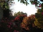 Sempre accettati sono i consigli e i commenti.
Questa fotografia l'ho scattata verso le 9 di un mattino di quest'estate dal terrazzo della casa dove soggiornavo.