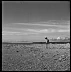 the thinking dog the thinking dog