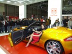 Motor Show 2007