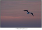 Verso il tramonto Verso il tramonto