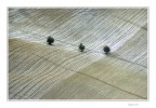 Geometrie della terra Geometrie della terra