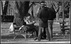 Storie nel Parco #2