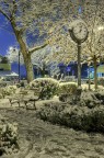 Tempo... da neve Tempo... da neve