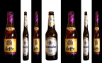 Codice a birre Codice a birre