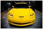 Corvette Corvette
