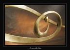 Le curve della vita Le curve della vita