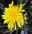 Ohi,ohi,ohi...sto per cadere,aiuto!!! Ohi,ohi,ohi...sto per cadere,aiuto!!!