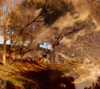 magie d'autunno! magie d'autunno!