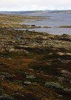 HARDANGERVIDDA - NORWAY HARDANGERVIDDA - NORWAY