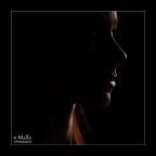 ...il suo profilo. ...il suo profilo.