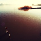 Torre del Lago Puccini #1 Torre del Lago Puccini #1