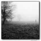 ::: SENZA META ::: ::: SENZA META :::