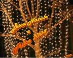 Buon Natale e felice 2008 per tutti gli amici del sito... Buon Natale e felice 2008 per tutti gli amici del sito...