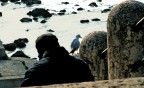Il risveglio del barbone Il risveglio del barbone