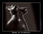 Body of evidence Body of evidence