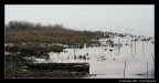 Lago Trasimeno