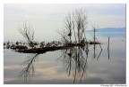 Lago Trasimeno Lago Trasimeno