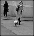 Non Tirare! Non Tirare!