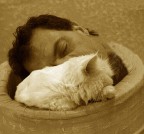 Gatti... da perdere la testa! Gatti... da perdere la testa!