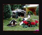 Presepe Presepe