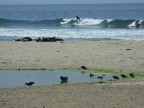 Surf in USA.... Surf in USA....