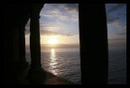 venere venere