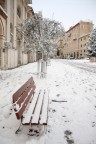 Le panchine di Piazza Mazzini Le panchine di Piazza Mazzini