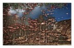 Autunno n2