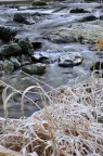 ICE ICE