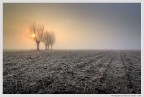 Nebbia e brina #2 Nebbia e brina #2