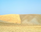Maremma 1 Maremma 1