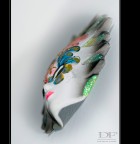 La Maschera La Maschera