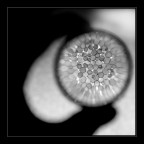 Life in my hands Life in my hands