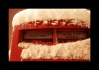 La Neve e Noi3