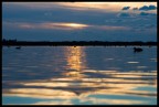 Canon 30D + Sigma EX 18-50 @ 50mm
1/320 F7.1 @ 200ISO