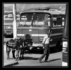 Asinelli a Istanbul Asinelli a Istanbul