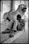 Leggere a Modena Leggere a Modena